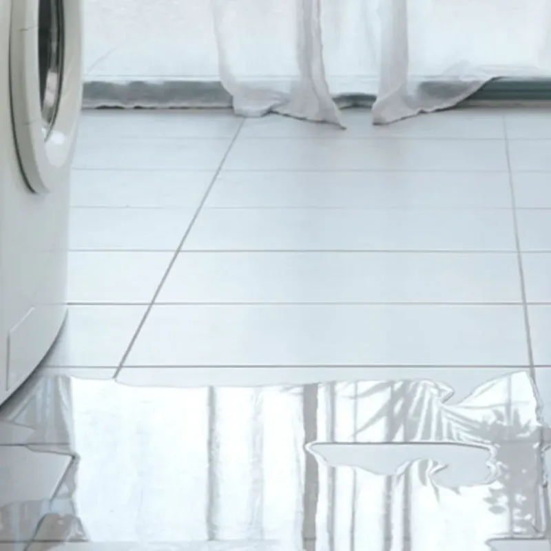 Appliance Leak Cleanup in Island Lake, IL