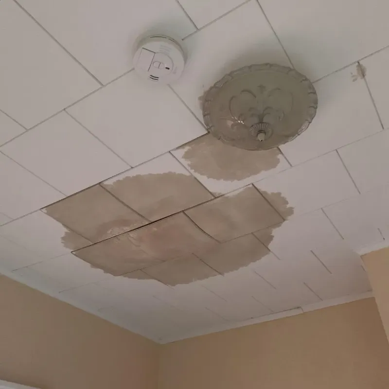 Ceiling Water Damage Repair in Island Lake, IL