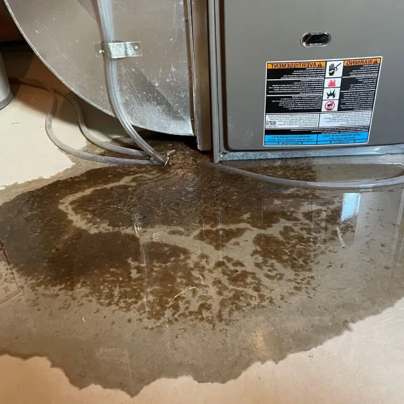 Pipe Burst and Leak Restoration in Island Lake, IL