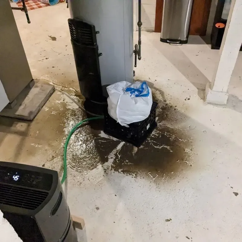 Sewage Backup Cleanup Service in Island Lake, IL